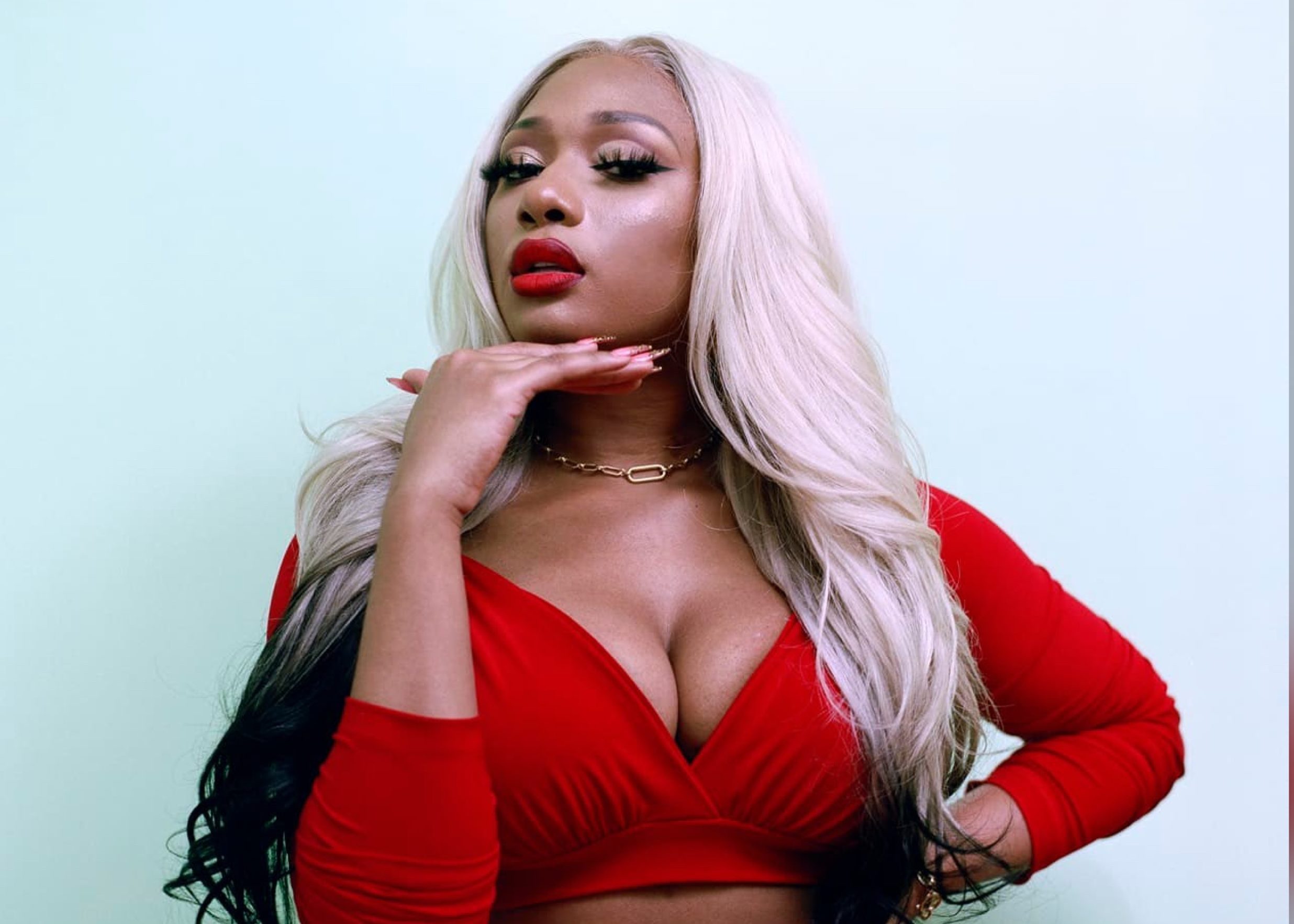 Megan thee stallion. Меган Стеллион. Megan three Stallion. Megan Thee Stallion хот. Pardison Fontaine Megan Thee Stallion.